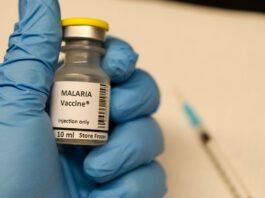 Vacuna de la Malaria