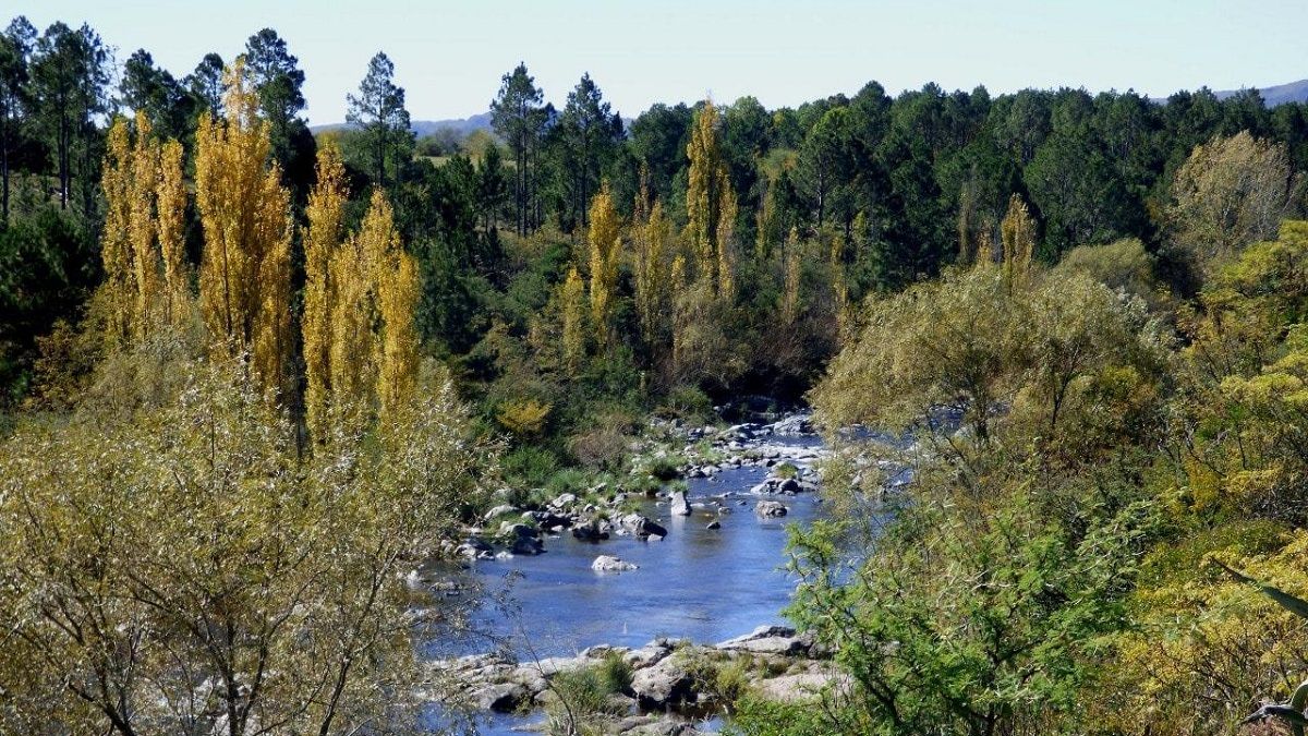 Los Reartes