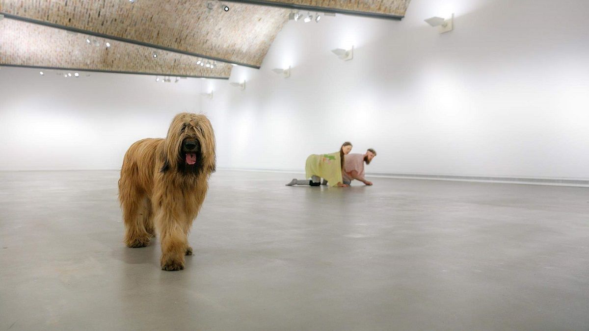 Teatro para mascotas