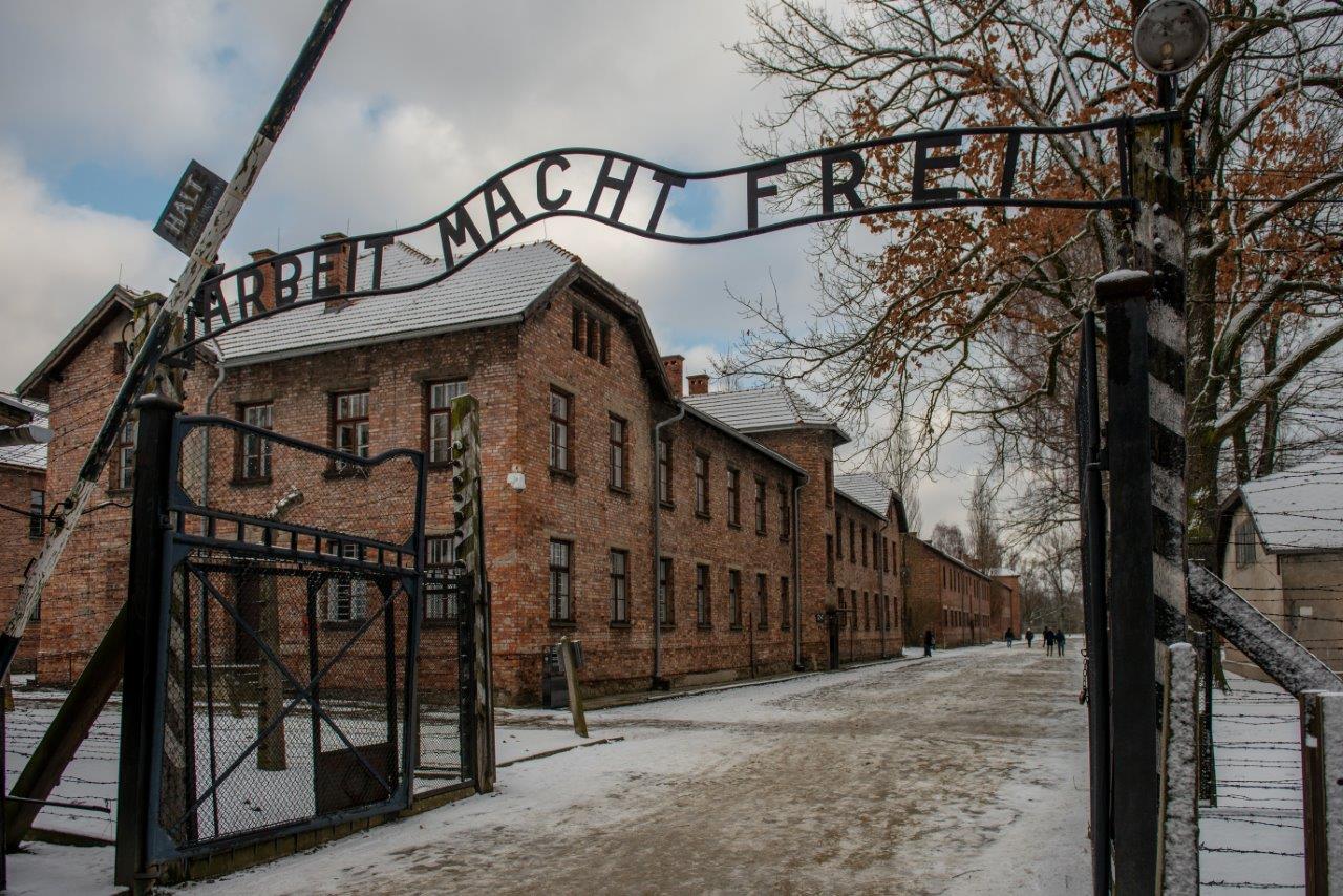 holocausto