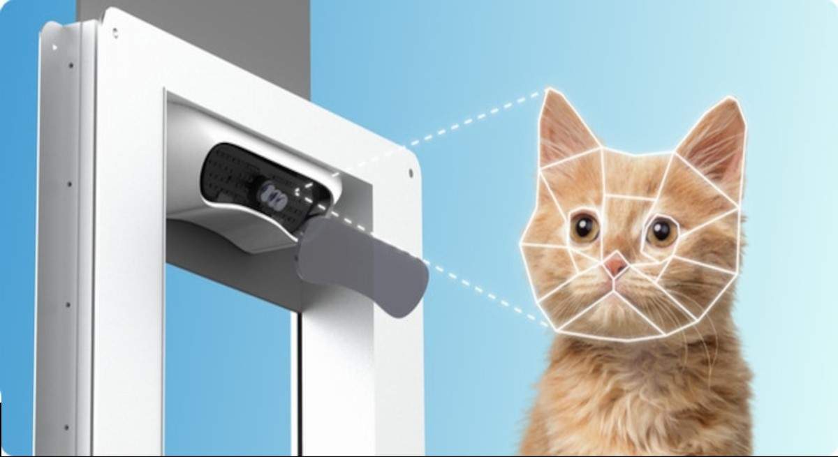 identificador facial