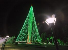 Árbol de navidad del Faro del Bicentenario