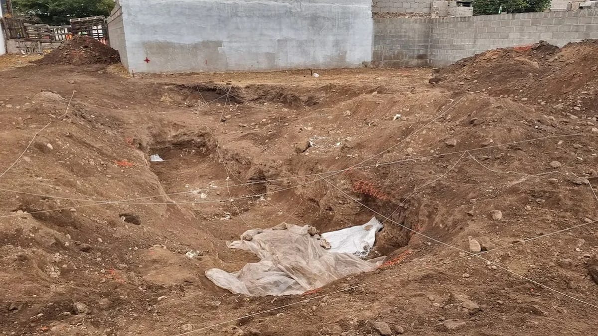 Hallazgo de restos óseos cercanos al Campo de la Ribera