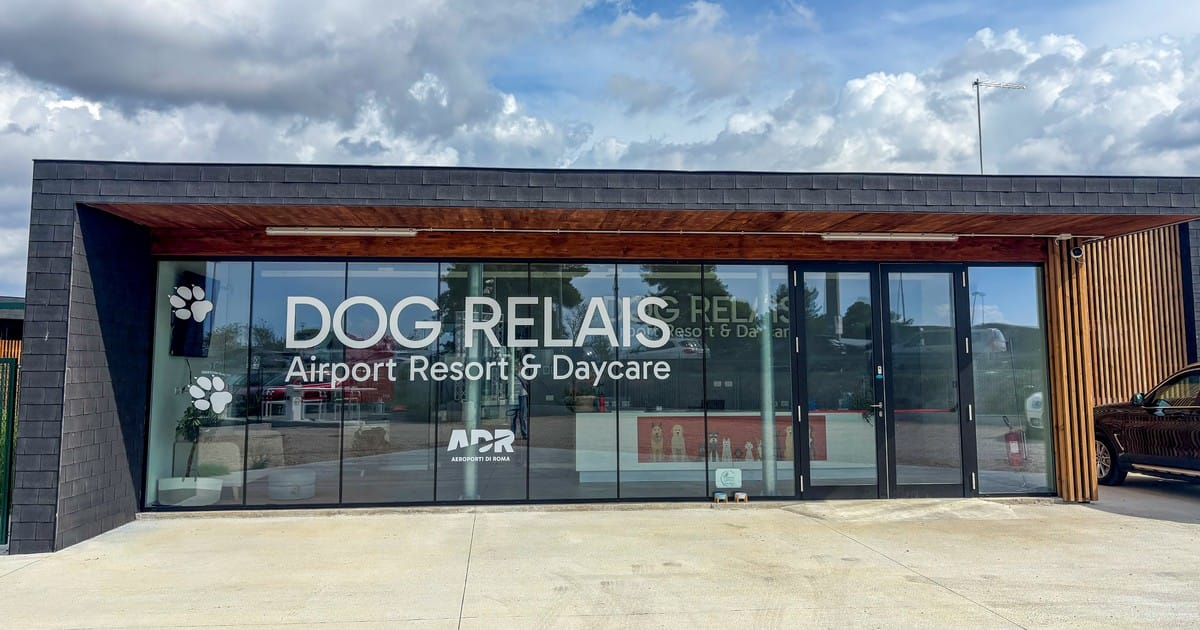 Abrieron un hotel de lujo para perros que incluye aromaterapia y videollamadas