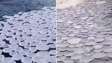 VIDEO: Inusuales "panqueques" de hielo flotan en un río de Rusia