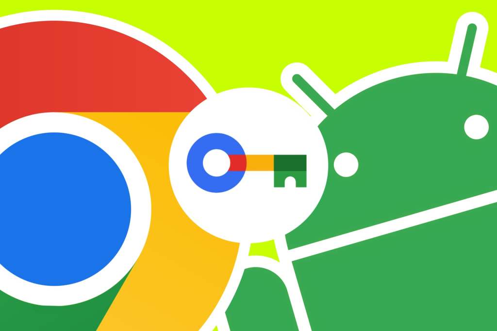 Gestor de contraseñas de Google - Contraseñas en Android