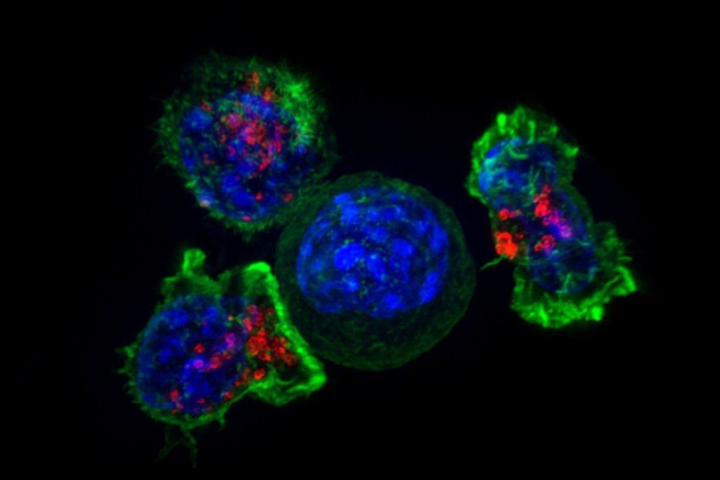 tratamientos contra el cáncer