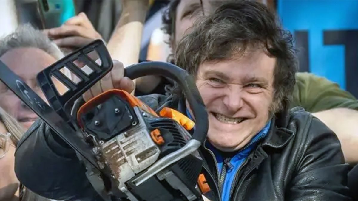 Javier Milei suspendió la aplicación de las leyes de financiamiento universitario y de emergencia pediátrica