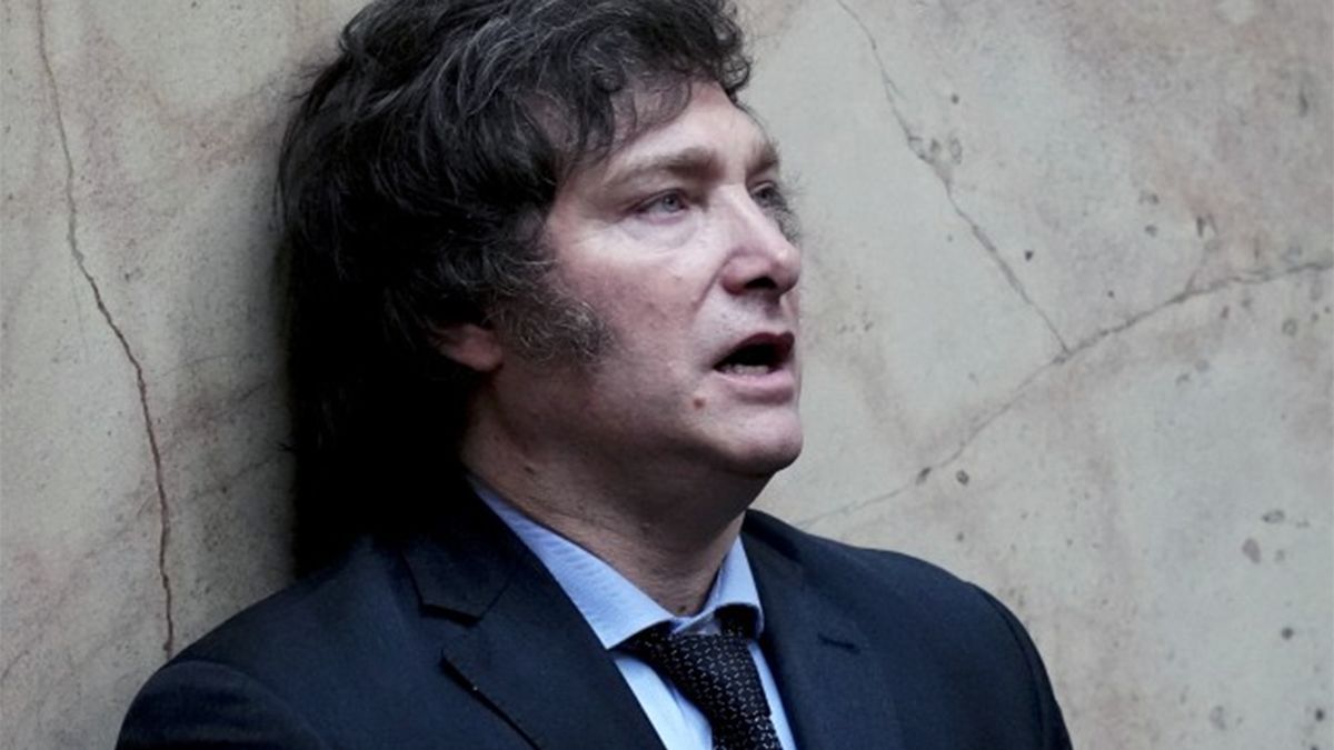 La encuesta que preocupa a Milei a dos semanas de las elecciones: los números no le dan