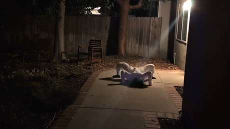 VIDEO: Una inusual modificación convirtió a este robot en una espeluznante pesadilla de Halloween
