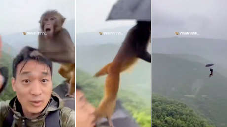 Mono roba un paraguas y sale volando 'al infinito' en un SUPERVIRAL VIDEO de IA con millones de visualizaciones