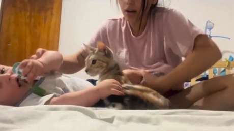 VIDEO: Una gatita 'adopta' a un bebé como su propio hijo