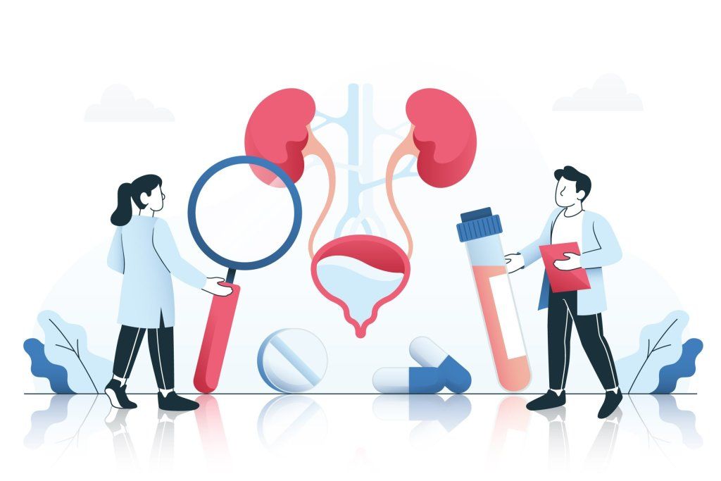 cáncer de vejiga y riñones