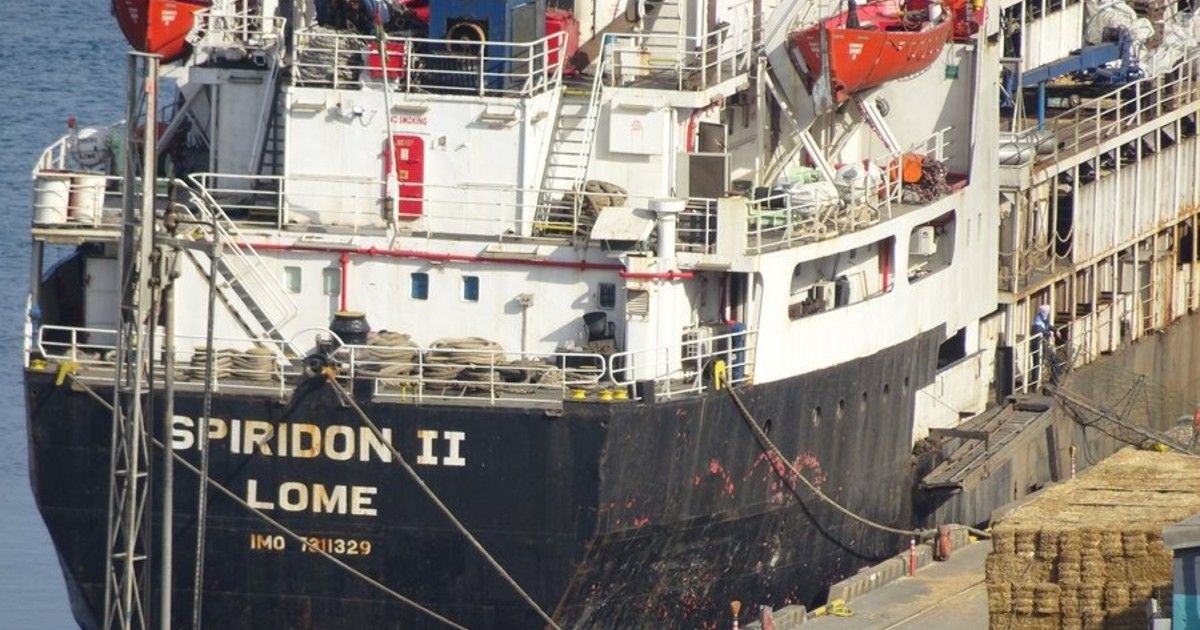 El buque con 2.901 vacas uruguayas no pudo desembarcar en Turquía y emprende un peligroso regreso: "Difícil que lleguen con vida"