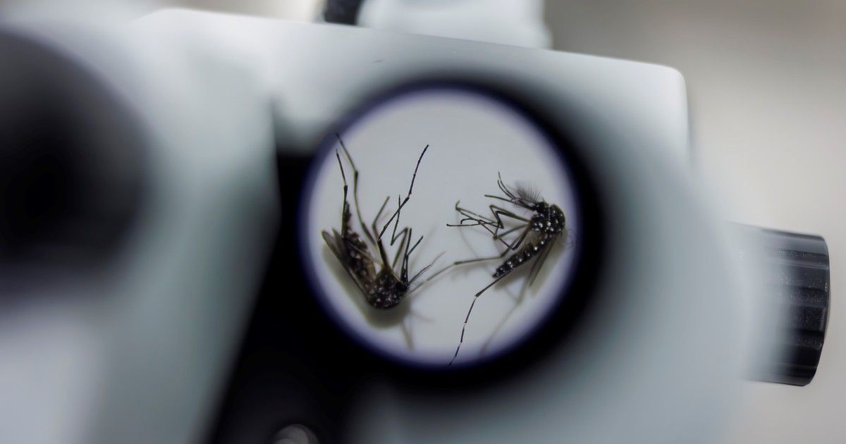 Vacuna contra el Dengue