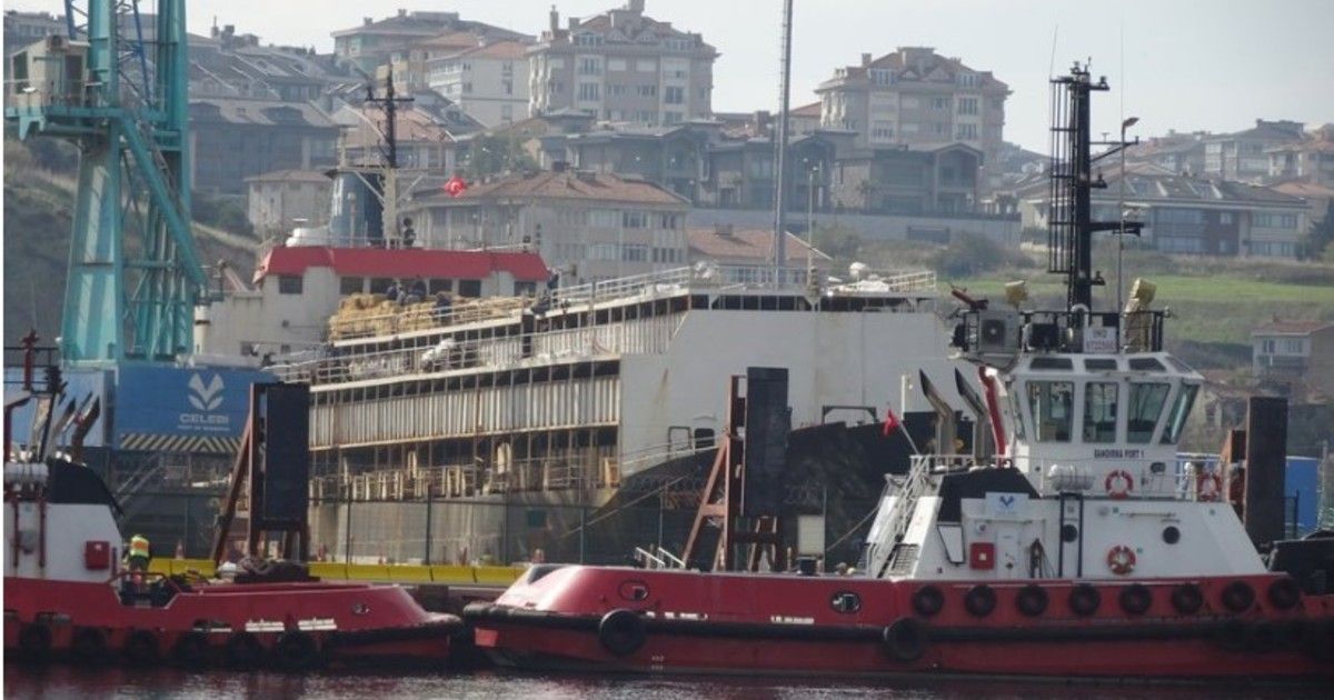 Mientras regresan a Montevideo, buscan un nuevo mercado para las 2.901 vacas uruguayas que no pudieron desembarcar en Turquía