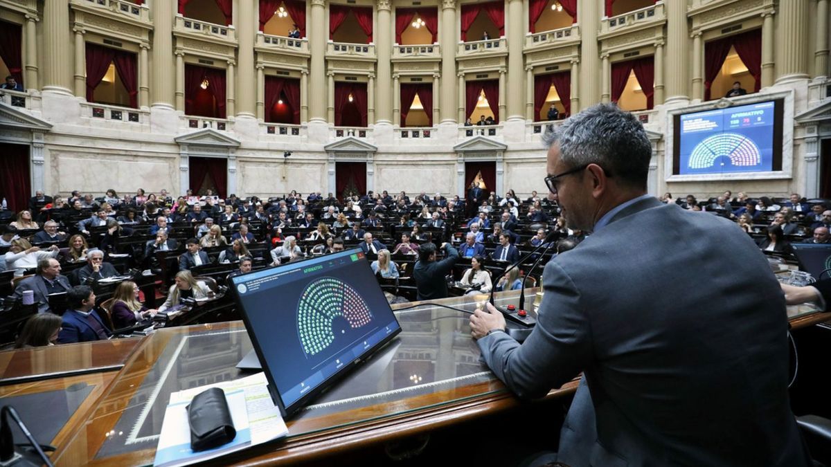 Quiénes son los diputados nacionales que renunciarán a sus bancas y por qué
