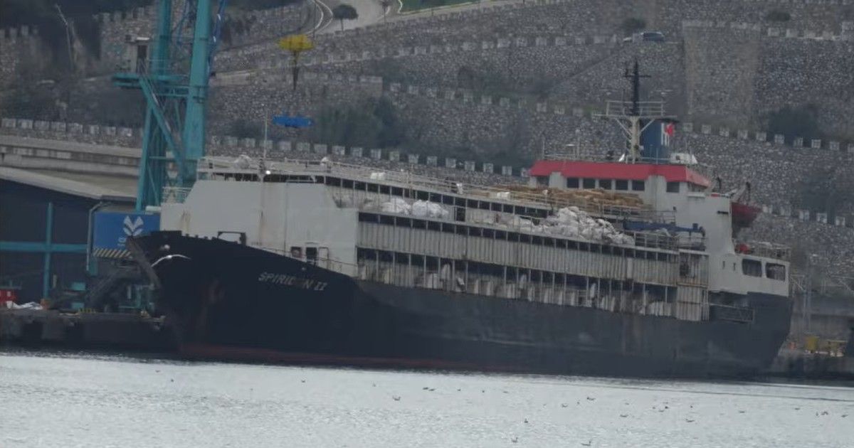 Odisea de un buque con 2.901 vacas uruguayas en Turquía: no lo dejan desembarcar y los animales llevan casi dos meses en el mar