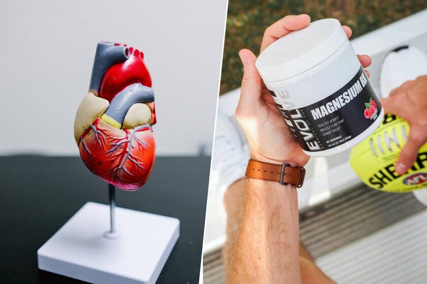 Imagen de un corazón con un 'freno de mano' de magnesio