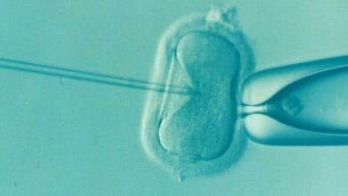 Mapa de Europa con iconos de bebés, representando la dispersión genética