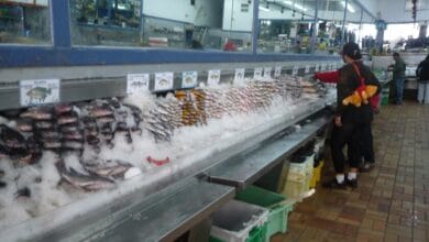 Pescado fresco en un mercado