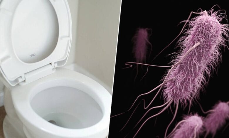 Ilustración de la pluma del inodoro