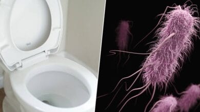 Ilustración de la pluma de inodoro con bacterias y virus