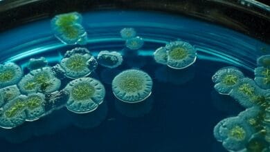 Imagen de un laboratorio de investigación científica