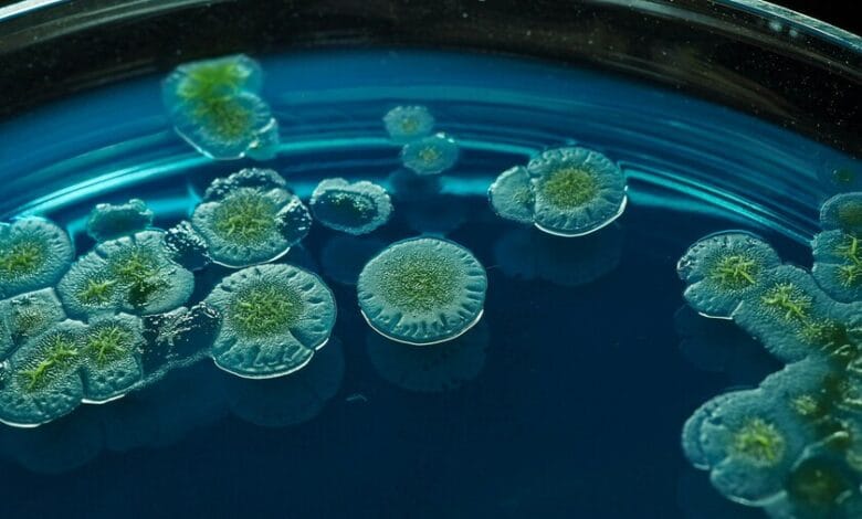 Imagen de un laboratorio de investigación científica