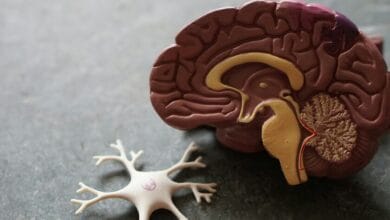 Ilustración de un cerebro humano con una luz brillante en el centro, simbolizando la curación del Alzheimer