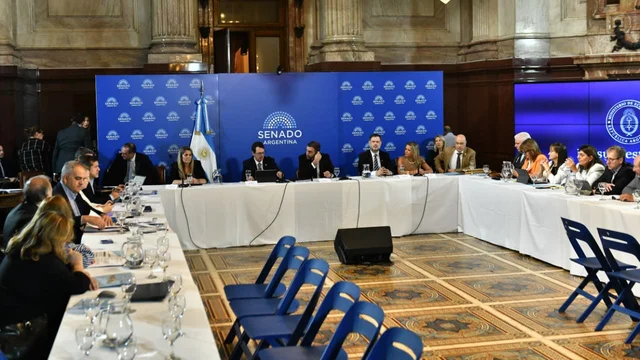 Imagen de un senador argentino durante un debate en el Congreso