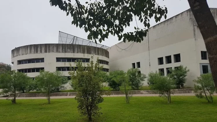 Imagen de la universidad en crisis, con estudiantes y profesores protestando