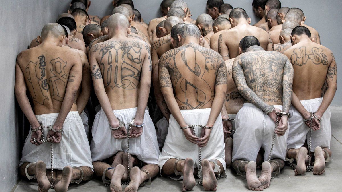 Daniel Sabsay criticó el aumento de penas previsto en la reforma del Código Penal: "Salvajismo"