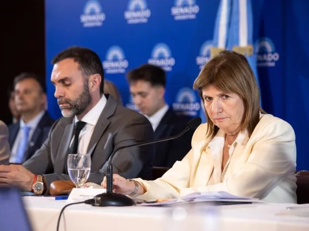 Patricia Bullrich en el Senado