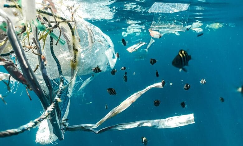 Imagen de microplásticos en un entorno acuático