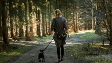 Persona caminando en un parque