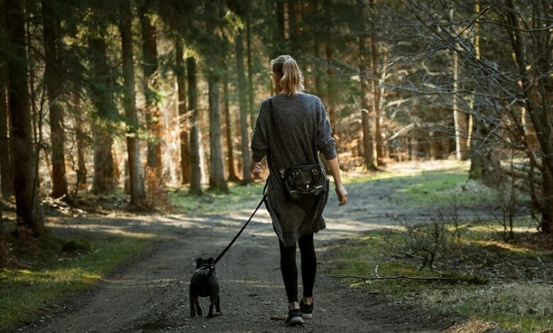 Persona caminando en un parque