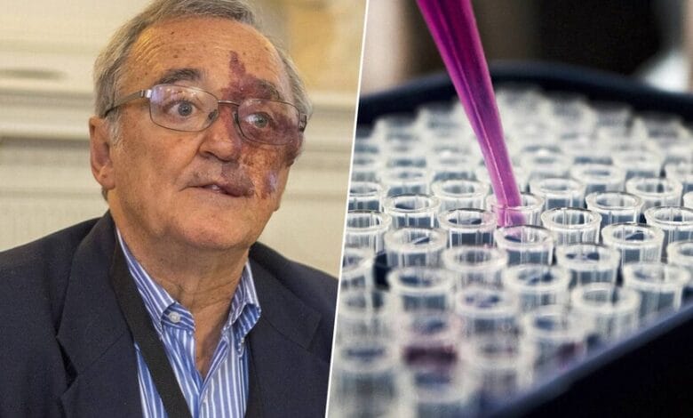 Imagen de células cancerígenas bajo un microscopio