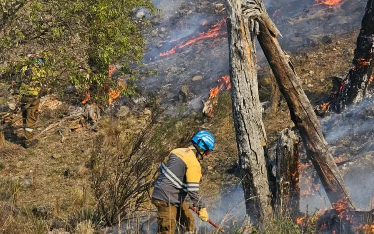 Índice de Peligro de Incendios en Córdoba