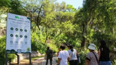 Parque de la Biodiversidad de Córdoba de noche