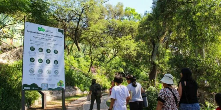 Parque de la Biodiversidad de Córdoba de noche