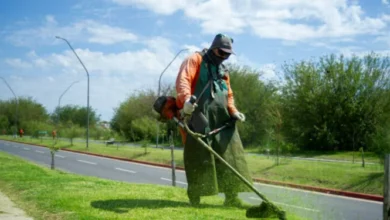 Imagen de un parque en Córdoba con áreas verdes bien mantenidas