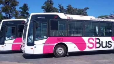 Colectivos en la calle, con personas caminando en la vereda