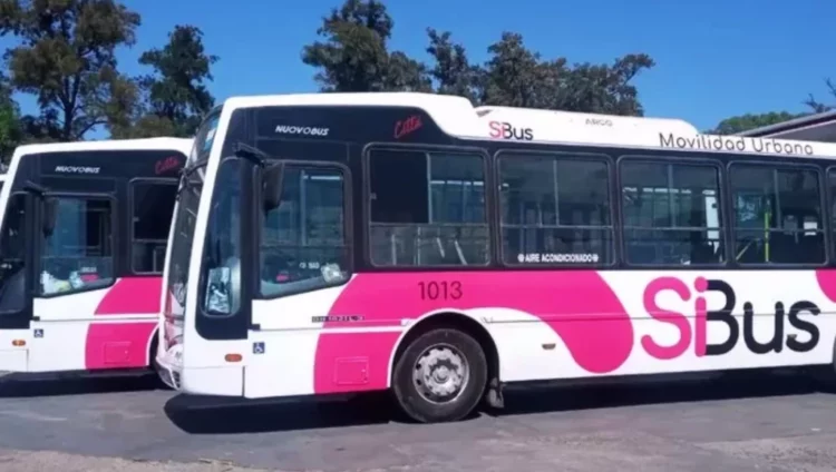 Colectivos en la calle, con personas caminando en la vereda