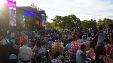 Imagen de una persona disfrutando de un concierto al aire libre
