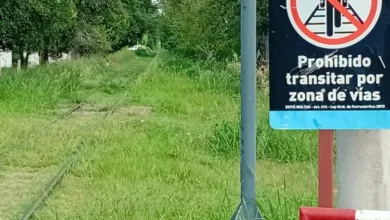 Malezas en las vías del ferrocarril en Córdoba