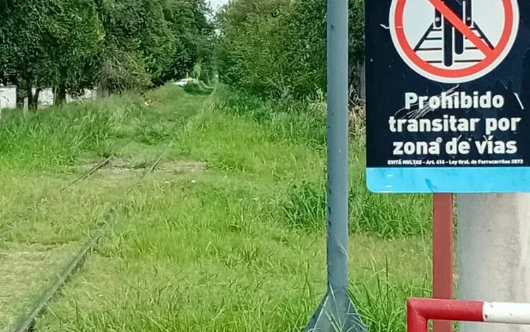 Malezas en las vías del ferrocarril en Córdoba