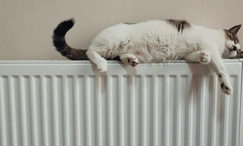 Sistema de calefacción innovador chino que podría ahorrar un 55% en la factura de la luz