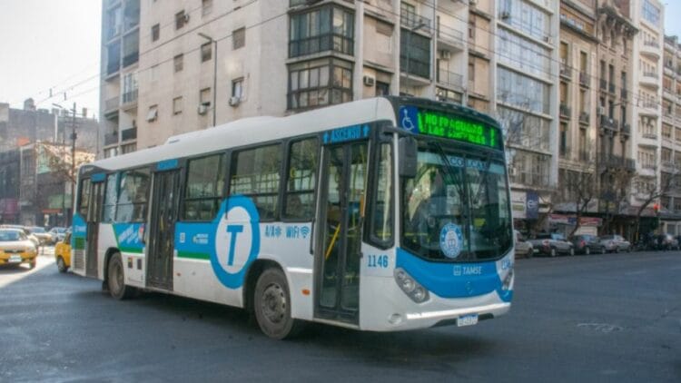 Colectivos de TAMSE en la calle