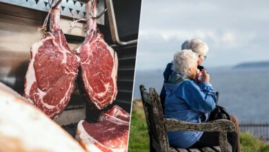 Imagen de una persona mayor comiendo una comida balanceada con carne